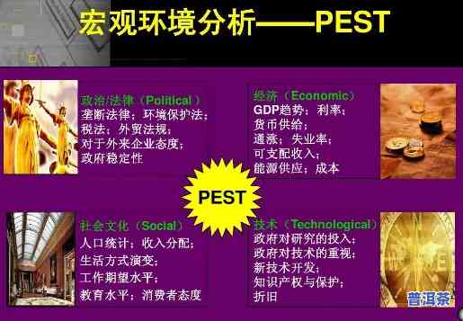 普洱茶pest分析-普洱茶pest分析法