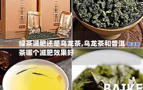 绿茶减肥效果好还是普洱茶减肥效果好，绿茶 vs 普洱茶：哪种茶叶的减肥效果更出色？