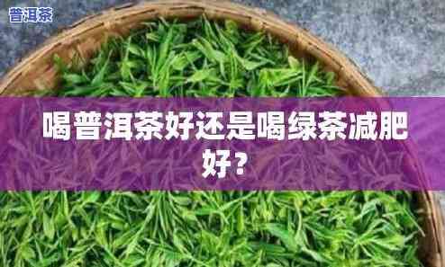 绿茶减脂还是普洱茶减脂呢-绿茶减脂还是普洱茶减脂呢