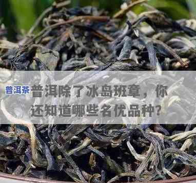 普洱冰岛茶是什么茶-普洱冰岛茶是什么茶类