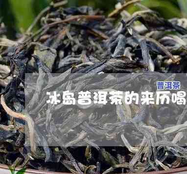 冰岛普洱生茶：功效、禁忌与作用全解析