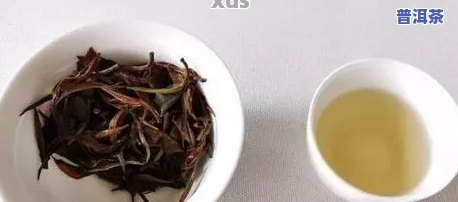 百年历史上的普洱茶-百年历史的普洱茶还能喝吗