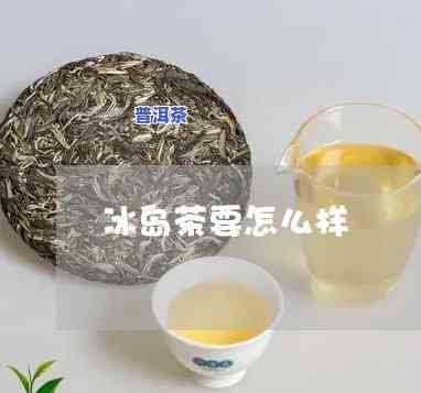 冰岛茶普洱是什么茶-冰岛茶普洱是什么茶类