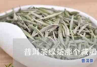 绿茶减肥还是普洱茶减肥好-绿茶减肥还是普洱茶减肥好呢