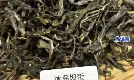 冰岛乔木茶是古树茶吗，探究冰岛乔木茶的真伪：它是否属于古树茶？