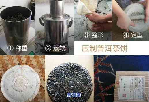 全面解析普洱茶制茶工艺技术：流程、特点与内容