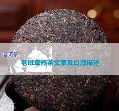 老班章普洱茶宣传片-老班章普洱茶宣传片文案