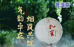 老班章普洱茶宣传片-老班章普洱茶宣传片文案