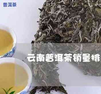 云南普洱茶销量-云南普洱茶销量排行榜