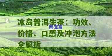 探究普洱冰岛茶的功效：全面解析其作用和好处