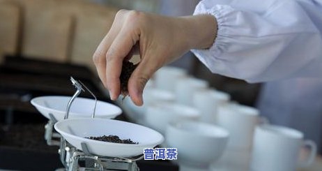 南糯山普洱茶的喝法-南糯山普洱茶冲泡方法