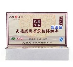 天福易武山普洱茶砖-天福易武山普洱茶砖2004