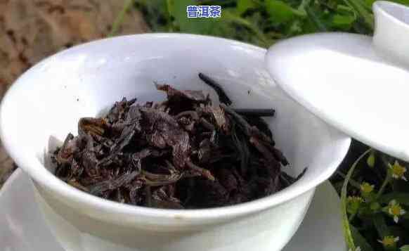 探索世界顶级普洱茶：哪种茶叶才是真正的王者？