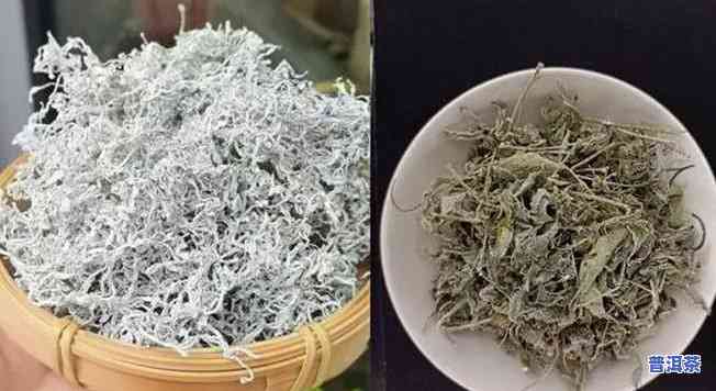 莓茶和普洱茶哪个好？口感、功效全方位对比！