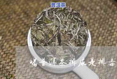 普洱茶排油是从尿液排油吗-普洱茶排油是从尿液排油吗为什么