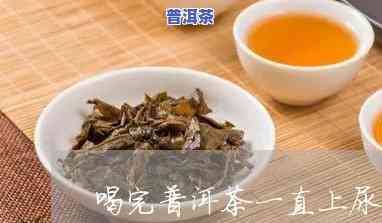 普洱茶排油是从尿液排油吗-普洱茶排油是从尿液排油吗为什么