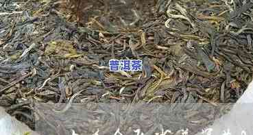 大益金孔雀普洱茶砖-大益金孔雀普洱茶2005砖