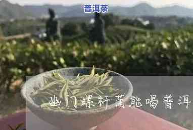 幽门螺杆菌喝普洱茶有用吗-幽门螺杆菌喝普洱茶有用吗女性