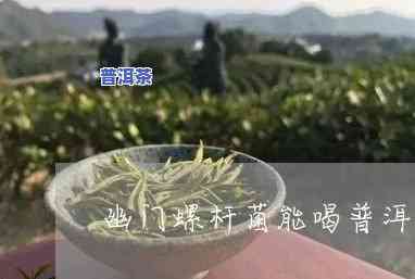 感染幽门螺杆菌能喝普洱茶吗，关于感染幽门螺杆菌的人，能否喝普洱茶？