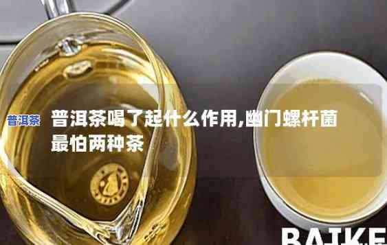 感染幽门螺杆菌的女性可以喝普洱茶吗？