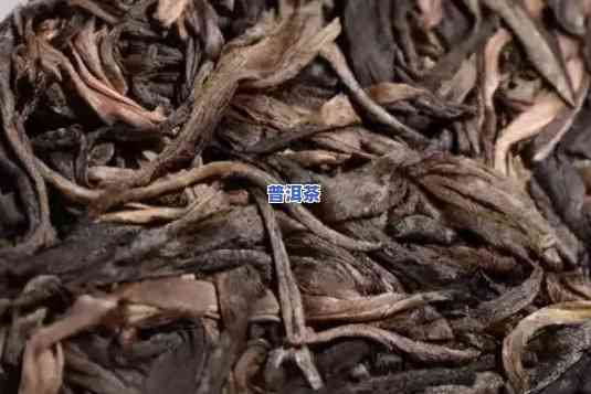 50年陈的普洱茶砖价格多少，探究50年陈普洱茶砖的价格：一份详尽的市场分析报告