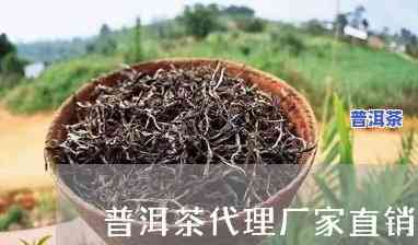 哪里有大量收购普通普洱茶的厂家？请提供联系方法！