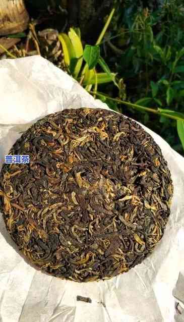 哪里有大量收购普通普洱茶的厂家？请提供联系方法！