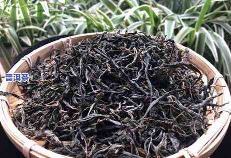 普洱茶年份是什么意思，揭秘普洱茶年份：你所不知道的茶叶知识