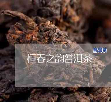 恒春号普洱茶哪种茶最值钱-恒春之韵普洱茶