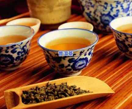 泡茶一次放多少茶叶普洱茶-泡茶一次放多少茶叶普洱茶好