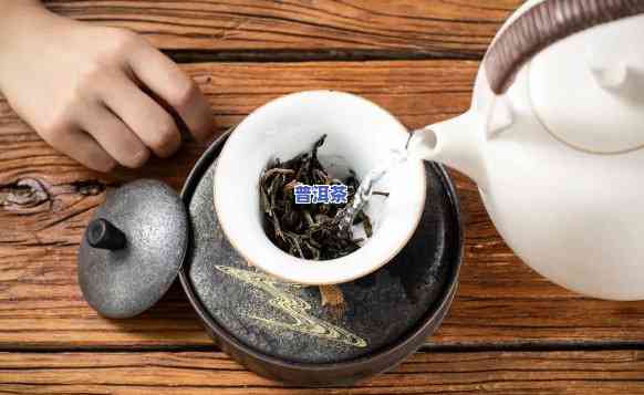 泡茶一次放多少茶叶普洱茶-泡茶一次放多少茶叶普洱茶好