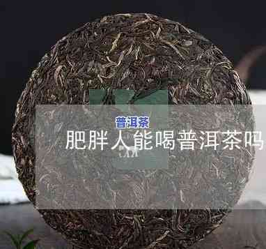 肥胖的人可以喝普洱茶吗，探讨：肥胖人群是不是适合饮用普洱茶？