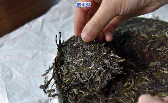 存什么普洱茶更好，普洱茶收藏全攻略：存什么普洱茶更好？