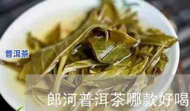 郎河普洱茶怎么样？价格、评价一网打尽！