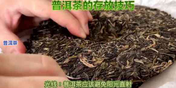 拆散的普洱茶怎样存放保鲜时间长，教你怎样保存拆散的普洱茶，延长其保鲜时间