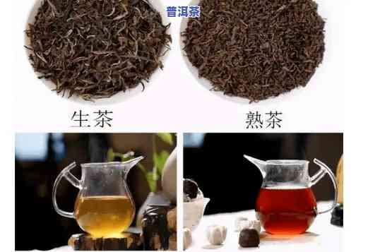 普洱茶生茶不是绿茶吧，普洱茶生茶：不是绿茶，但同样值得一试的茶叶品种