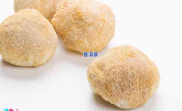 猴头菇和绿茶能同时饮用吗？包含孕妇在内的人群适用吗？