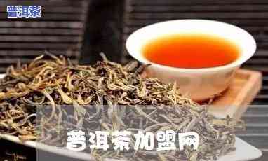 南昌普洱茶渠道加盟-南昌普洱茶渠道加盟店