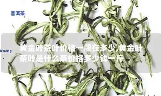 普洱茶金芽茶饼价格是多少-普洱茶金芽茶饼价格是多少钱一斤