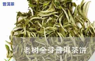 普洱茶金芽茶饼价格是多少-普洱茶金芽茶饼价格是多少钱一斤