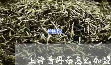 上海普洱茶加盟条件请求，加入上海普洱茶，熟悉详细的加盟条件和请求