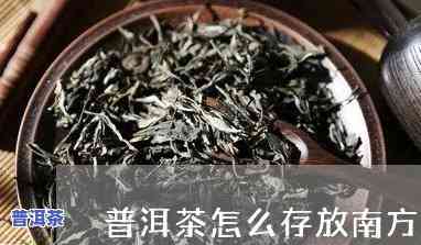 在南方怎样正保证存普洱茶？