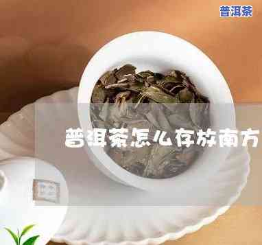 在南方怎样正保证存普洱茶？