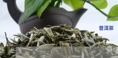 普洱茶南方仓闻起来的味道-普洱茶北方仓和南方仓差异