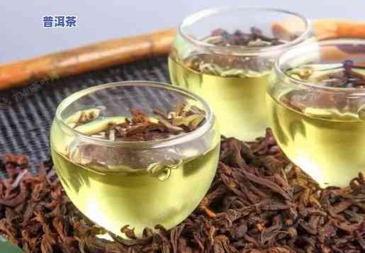 丽水普洱茶代理条件是什么，揭秘丽水普洱茶代理条件，让你轻松加入茶叶行业！