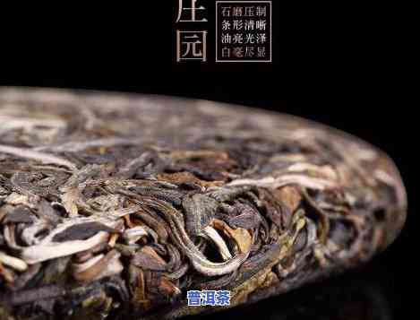 顶级普洱茶有哪些，探寻顶级普洱茶的世界：品种、产地与鉴别方法