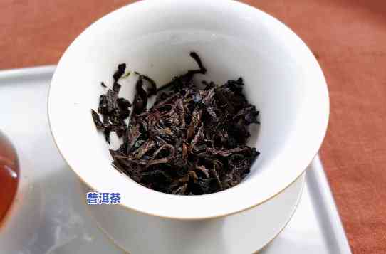 熟普洱茶叶冲泡比例-熟普洱茶叶冲泡比例是多少