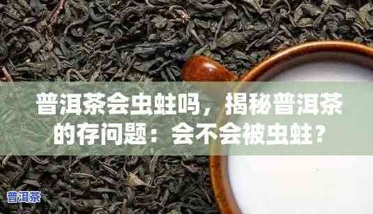 普洱茶饼有虫子怎么办，怎样解决普洱茶饼中的虫害疑问？