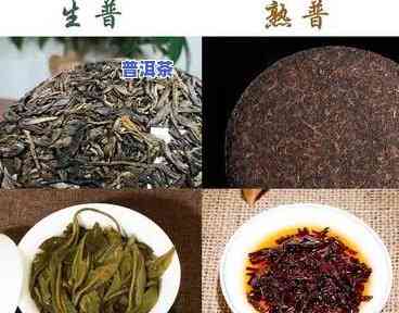 普洱生茶和熟茶的更佳长期保存方法