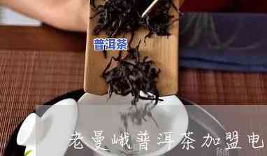 曼麓普洱茶属于哪里-曼麓项目